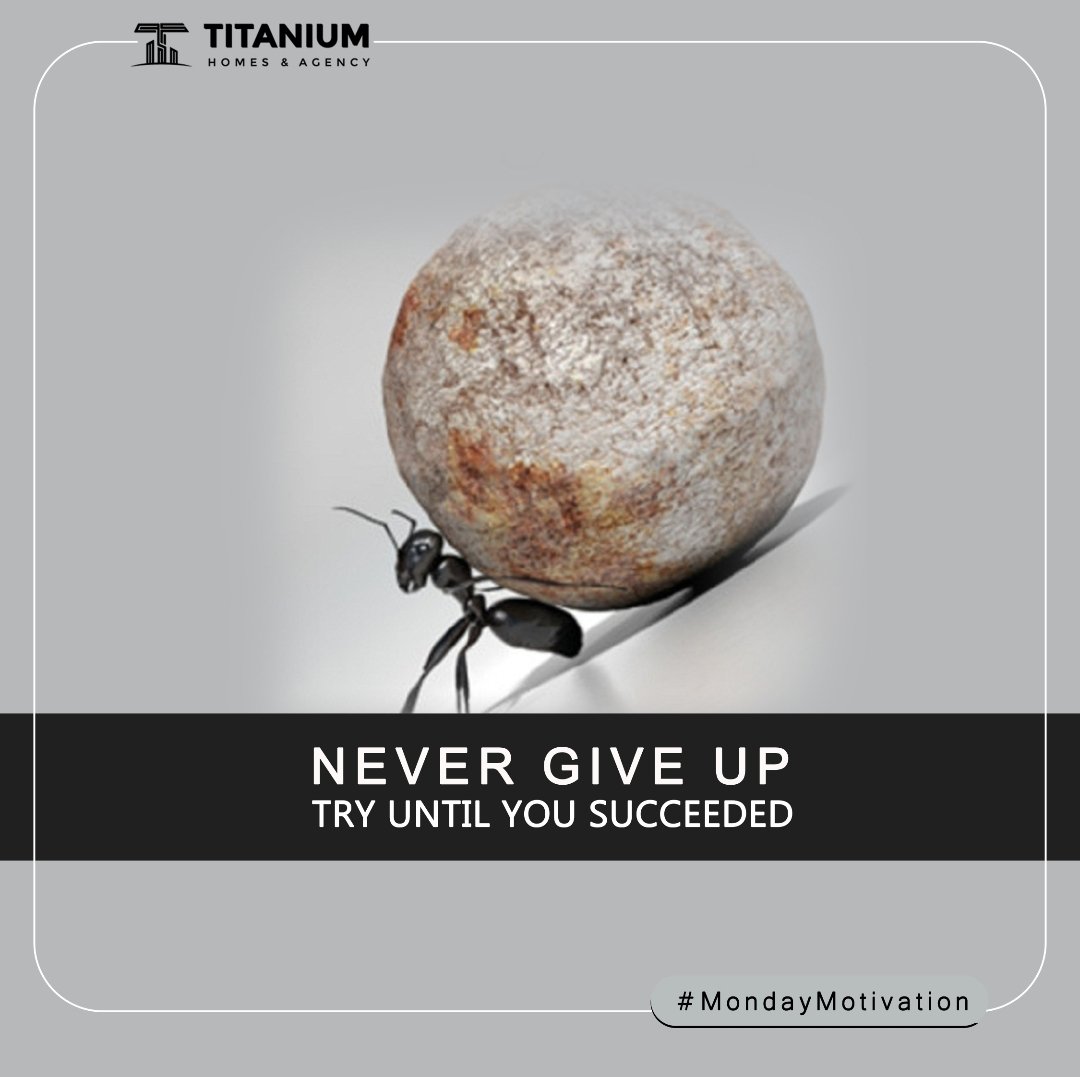 titanium_agency's tweet photo. Everything Comes to Him Who Hustle While He Waits.

-Thomas Edison

#mondaymotivation 
#titaniumagencyhomes https://t.co/3obWVTaJBV