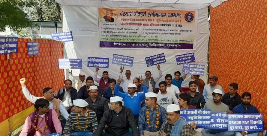 "जयपुर में गांधी टोपी लगाए दिखे वेटरनरी डॉक्टर्स "
वेटरनरी डॉक्टर्स की 11- सूत्रीय मांगों के क्रम में राज्यस्तरीय अनिश्चितकालीन धरना एवं क्रमिक अनशन जारी है। सभी वेटरनरी डॉक्टर्स गांधी टोपी लगाकर गांधीवादी तरीके से अपनी मांगों को आगामी बजट में शामिल करने की मांग कर रहे हैं।