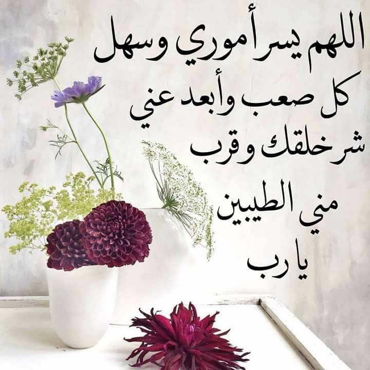 تعلم مع بوسى tweet media