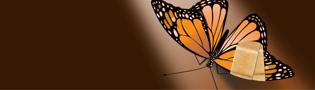 Ein neuer Artikel wartet auf unserem DocCheck Kanal #WUNDialog auf SIe! 

Thema ist "Epidermolysis bullosa: Wie ein schmerzfreier Verbandwechsel gelingen kann."

doccheck.com/de/detail/arti… 

#eb
#epidermolysisbullosa
#urgotül