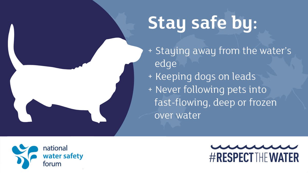 We ❤️ to see our furry friends out & about enjoying the canal network. With the cold weather forecast, please be #canalcareful & keep pets away from the water's edge, which may be frozen over & unsafe for small paws or hooves to wander on. 🐶 🐱🐴 @RoSPAScotland @WaterSafetyScot