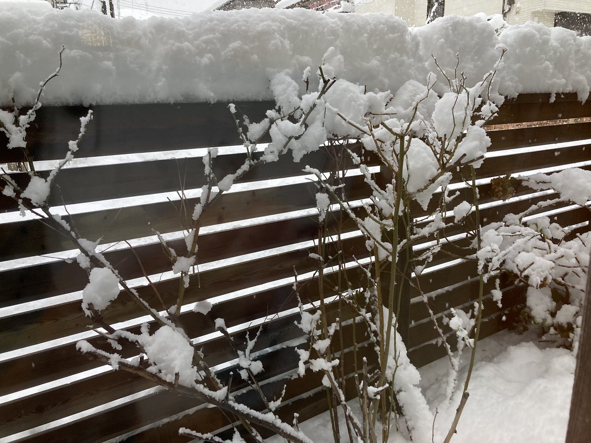 あまり雪が積もらない新潟市ですが、今日はどんどこどんどこ雪が降ってます⛄️
生徒さんたち、レッスンの行き帰り気をつけてね❄️
#新潟市ピアノ教室