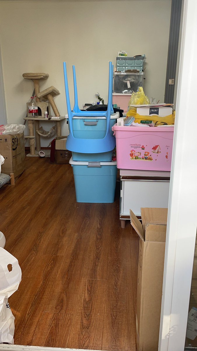 好累
三只猫猫
好累铲屎的我
好累 https://t.co/5rNSvrKd0D