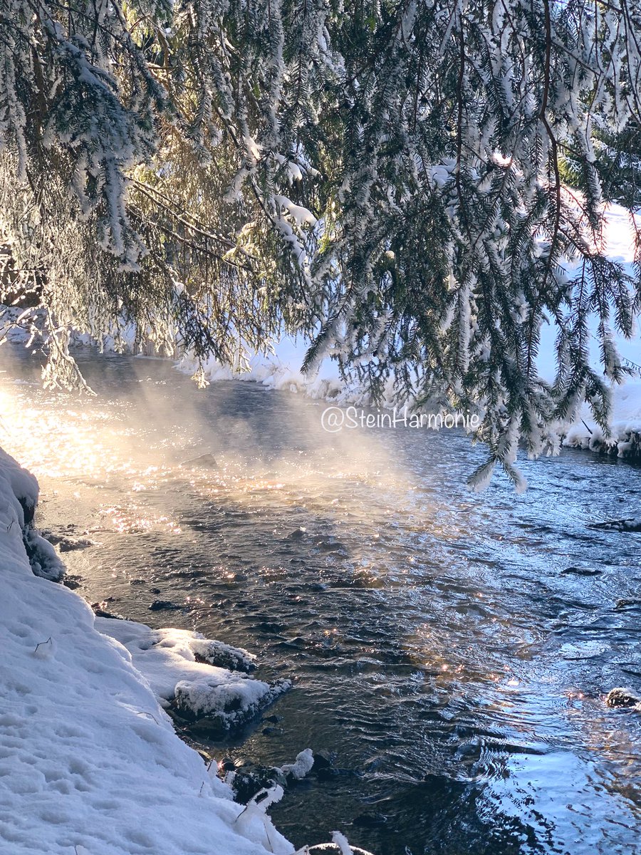 stein5864's tweet photo. ❄️Guten Morgen ☀️
       wünsche euch einen guten 
          Wochenstart 🍀⛄️🍀 https://t.co/MZ7c8TpEdm