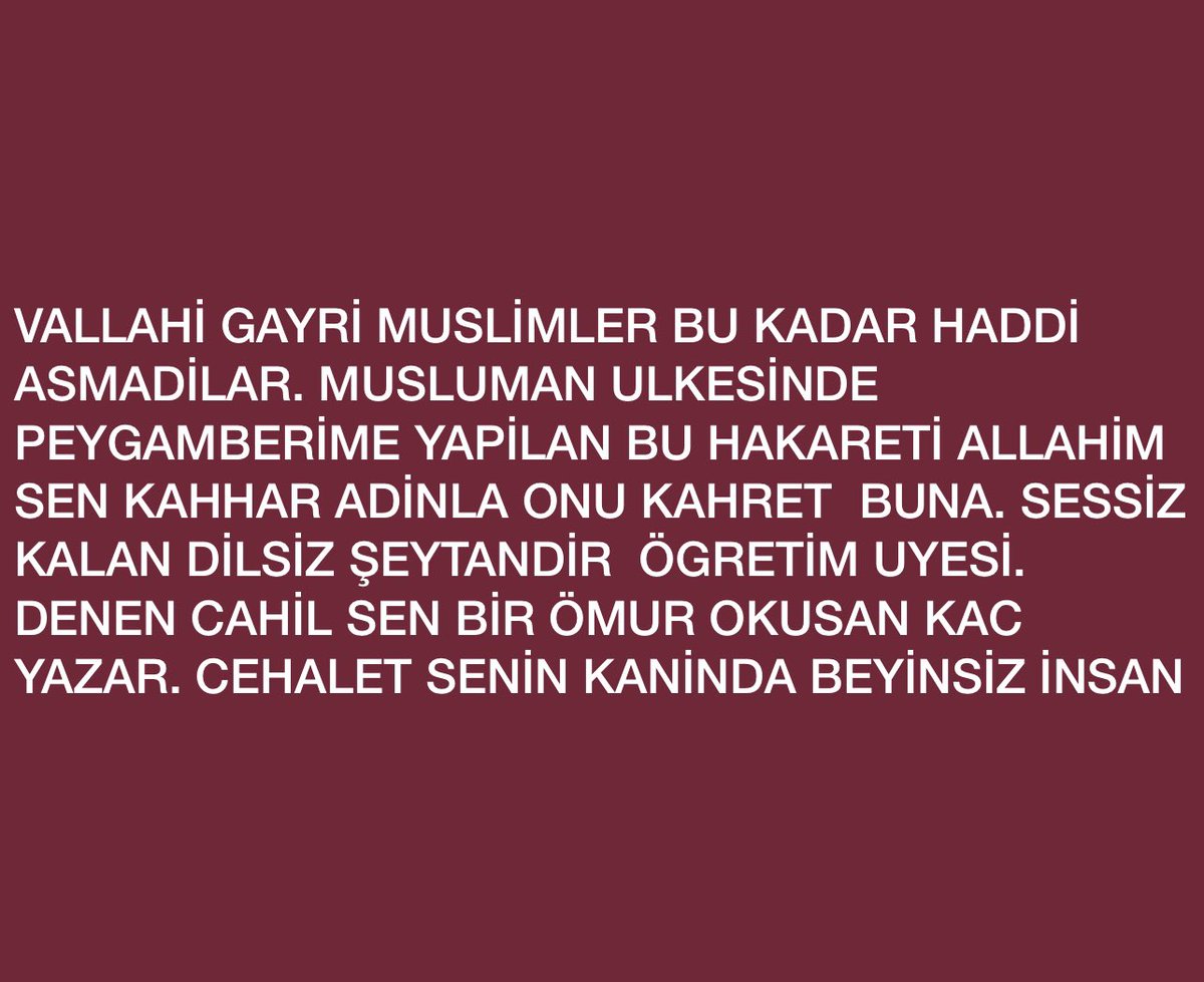 egoksu18's tweet photo. #PeygamberimeYapılanİftira  #yıldızteknikueniversitesi https://t.co/26FStvV033