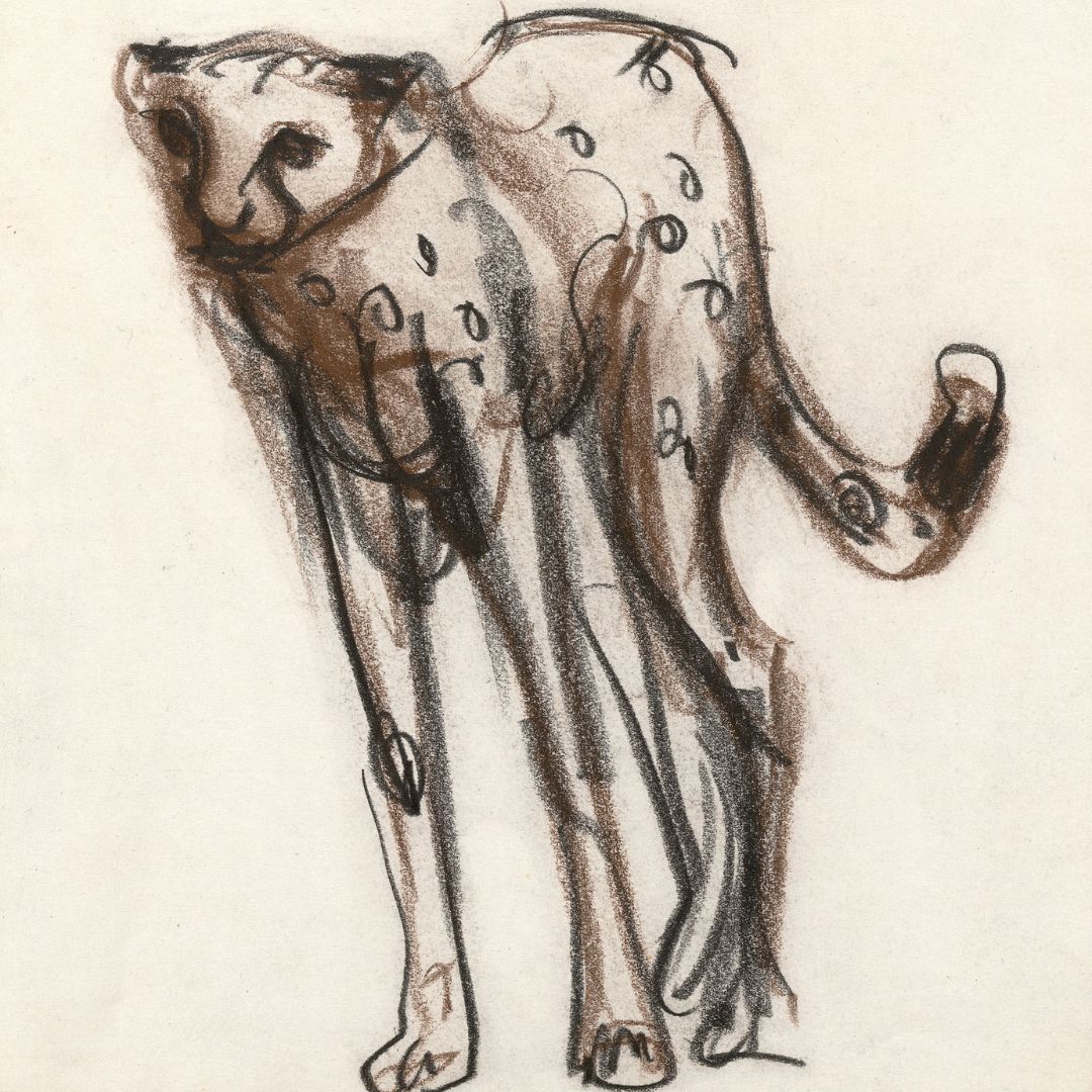 NGVMelbourne's tweet photo. Travel up to Level 3 of The Ian Potter Centre: NGV Australia these #schoolholidays and discover a menagerie. We’ve got giraffes and rhinoceroses, a secretary bird and gibbon, even big cats and elephants – all drawn by #FredWilliams at Regent’s Park Zoo. Until 29 January, free. https://t.co/12b9YBfLBl