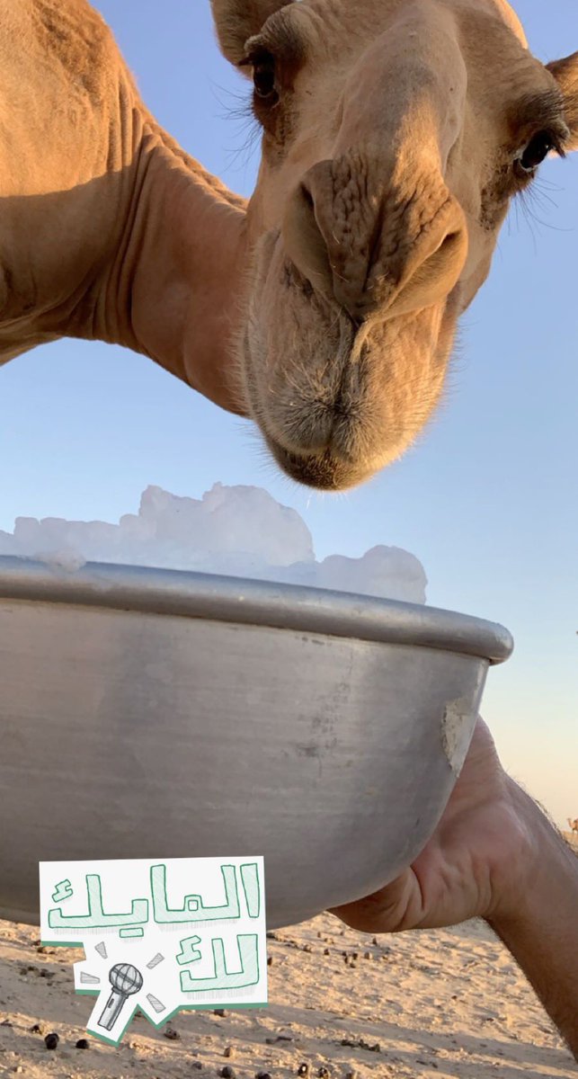 يالله بالعافيه والستر والجنه
ورزقٍ عن الناس يغنينا ويكفينا 🌹
