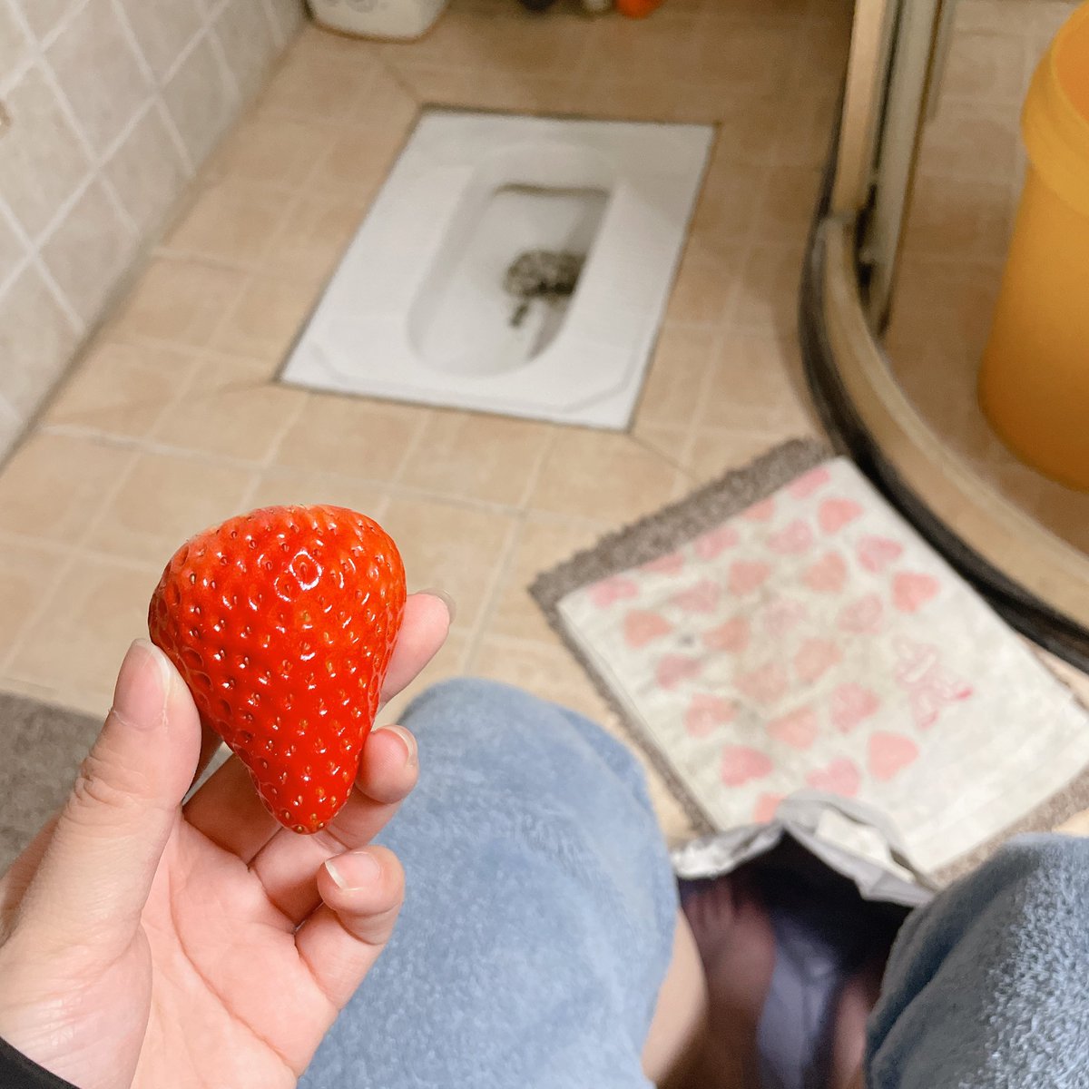 给你们看看我妈对我深沉的爱，坑里还有刚铲完没冲的猫💩 https://t.co/7ijSVRSSuf