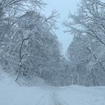 ツイートに含まれる画像