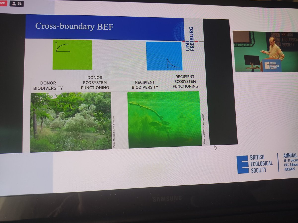 Does biodiversity still matter for ecosystem functioning, when we look at an entire landscape? Yes, says <a href="/PeteEcology/">Pete Manning</a>, but we don't know the mechanisms yet. Michael Schrerer-Lorentzen points at looking into the impact of biodiversity on neighbouring ecosystems #BES2022