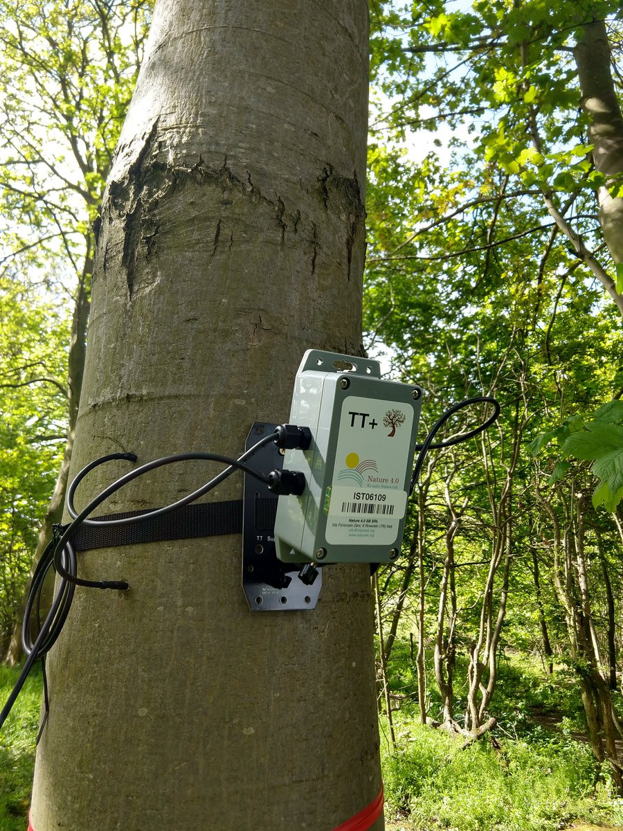 GaultonRachel's tweet photo. PhD opportunity to work with myself and @FeraScience on scaling-up of tree health monitoring networks to landscape scales, building on work in the @SPFDigiEnv Sentinel Treescapes project. See https://t.co/V6qSnkbcTE https://t.co/XnmU9pIy6A