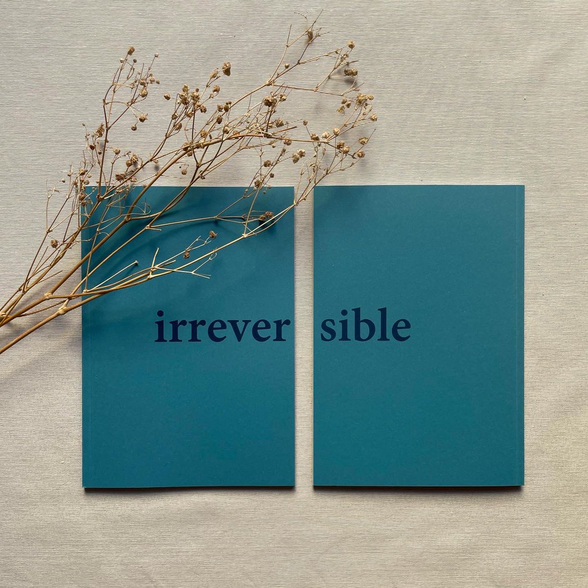 angelesaracil9's tweet photo. ‼️YA DISPONIBLE ‼️📕 
Por fin! Después de varios meses puedo anunciar que ya está a la venta mi primer foto libro “Irreversible”.
Si estás interesadx en llevarte uno no dudes en escribirme al MD 📩

Gracias a todas las personas bonitas que tengo en mi vida q me apoyan siempre ❤️ https://t.co/AxwU9gCUmJ