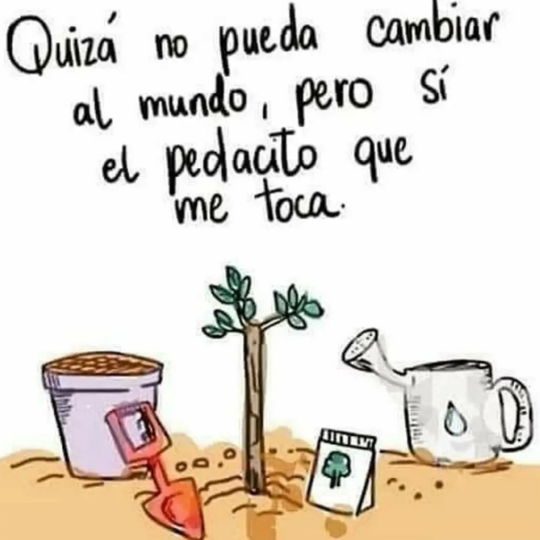 quijotadasdamor's tweet photo. 🏹 #quijotadasdeamor
Lo que me toca...✌🏻🧚♀️🙋
#frases #buenosdias #amor #vida #pensamientospositivos #motivacion #dia #buenasvibras #accion #decido #leydevida #cambios #yo #energia #actitud #personas https://t.co/aTea6CxAKI