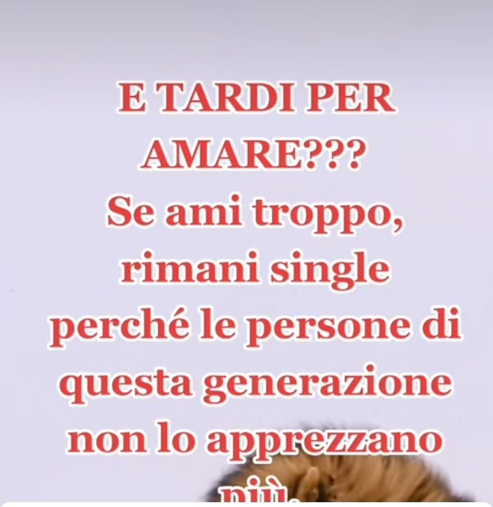 MRK (@mrk81740983) on Twitter photo 