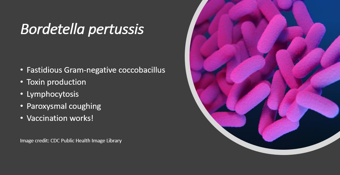Weekend Digest Name the Pathogen Five Clues 1. Fastidious Gramnegative