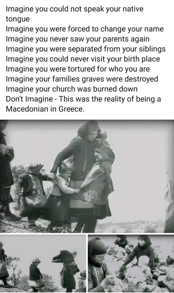 Далибор 🇲🇰 tweet media