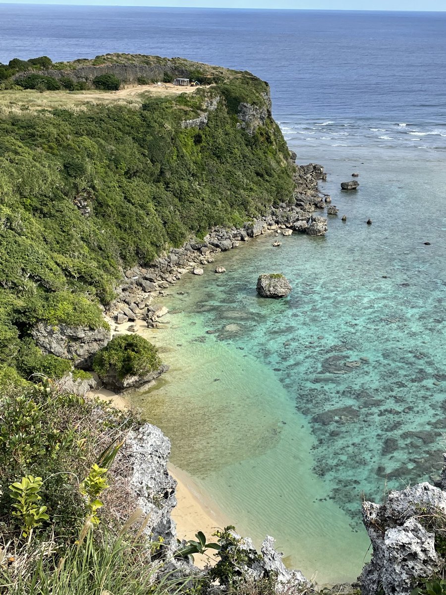 みー𓇼𓆉𓆝𓆟𓆜𓆞𓆝沖縄生活（ごはん•花•猫）コーチングコーチ