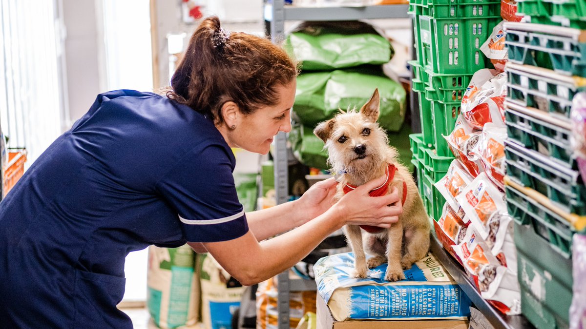 A thread on our pet food banks and how we can help you and your pet this Christmas. 🧵#CostOfLiving