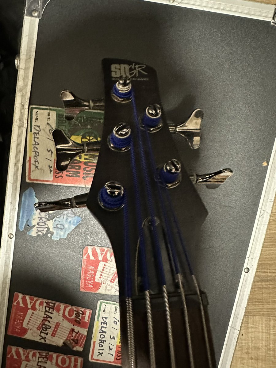 DLX_rei's tweet photo. ベースと対話中 https://t.co/zLRcwC9g36