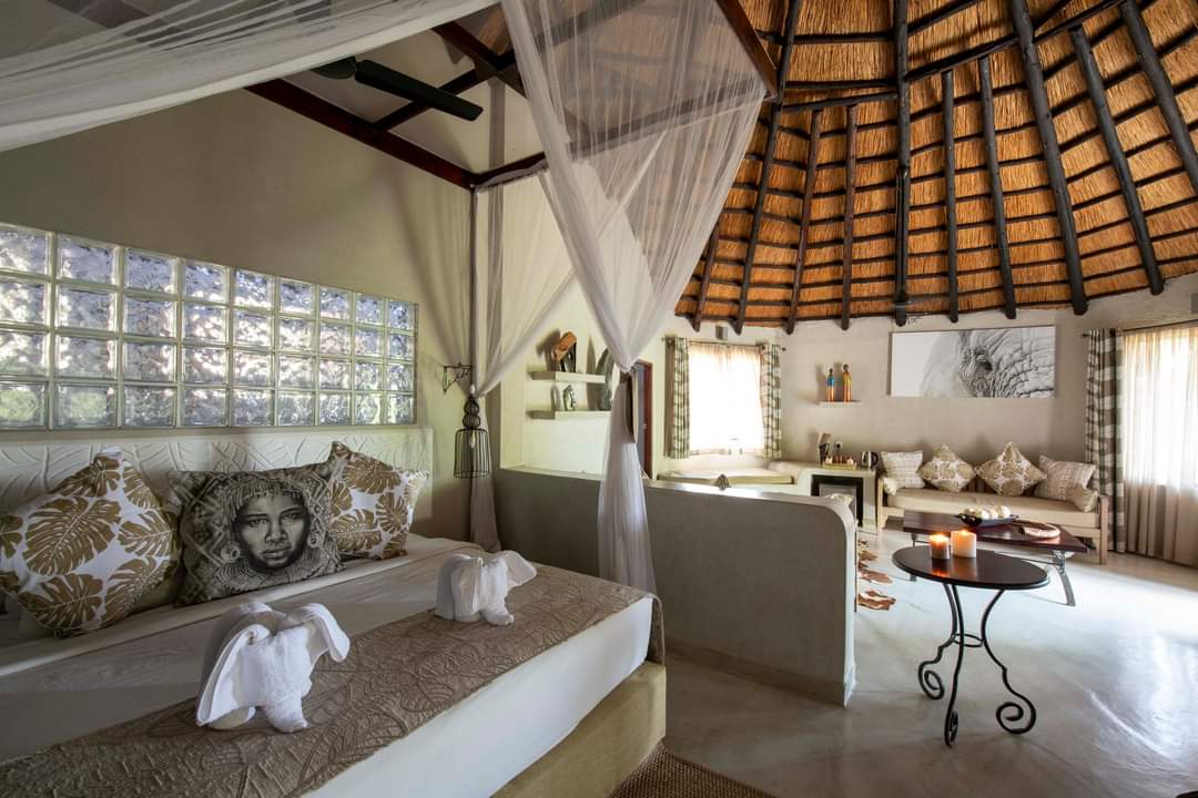 Shambazuva's tweet photo. Kariba| Luxury Safari Lodge

$129 per adult per night - fullboard basis

Zimbabwe's best luxurious lakeside safari in Kariba gives you a soul soothing lakeside safari experience in 2023. Time to explore nature. 

📲+263772137328/+263716806580
📧admin@shambazuva.com https://t.co/c1y9rEJllf