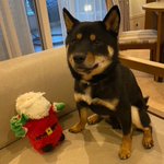 ツイートに含まれる画像