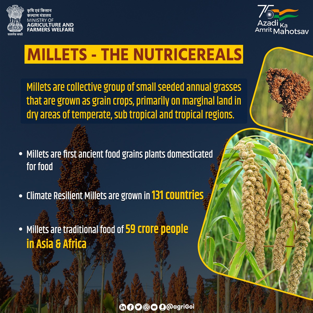 indembkwt's tweet photo. Celebrating #IYOM2023
 
International Year of Millets aims to create awareness, increase production &amp; consumption of millets which are an integral part of our diets.

#IndiaKuwait https://t.co/C0awGptr3i