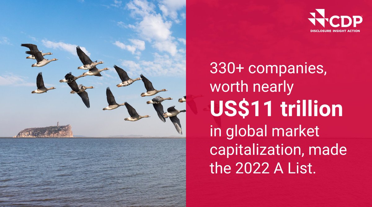 CDP's tweet photo. CDP scored nearly 15,000 companies on their Climate Change, #Forests and #Water Security disclosures in 2022, and 330+ made our annual A List. Find out which companies are leading the way in #environmentaltransparency: https://t.co/yeJ6b1ZIat https://t.co/vshyutTJfA