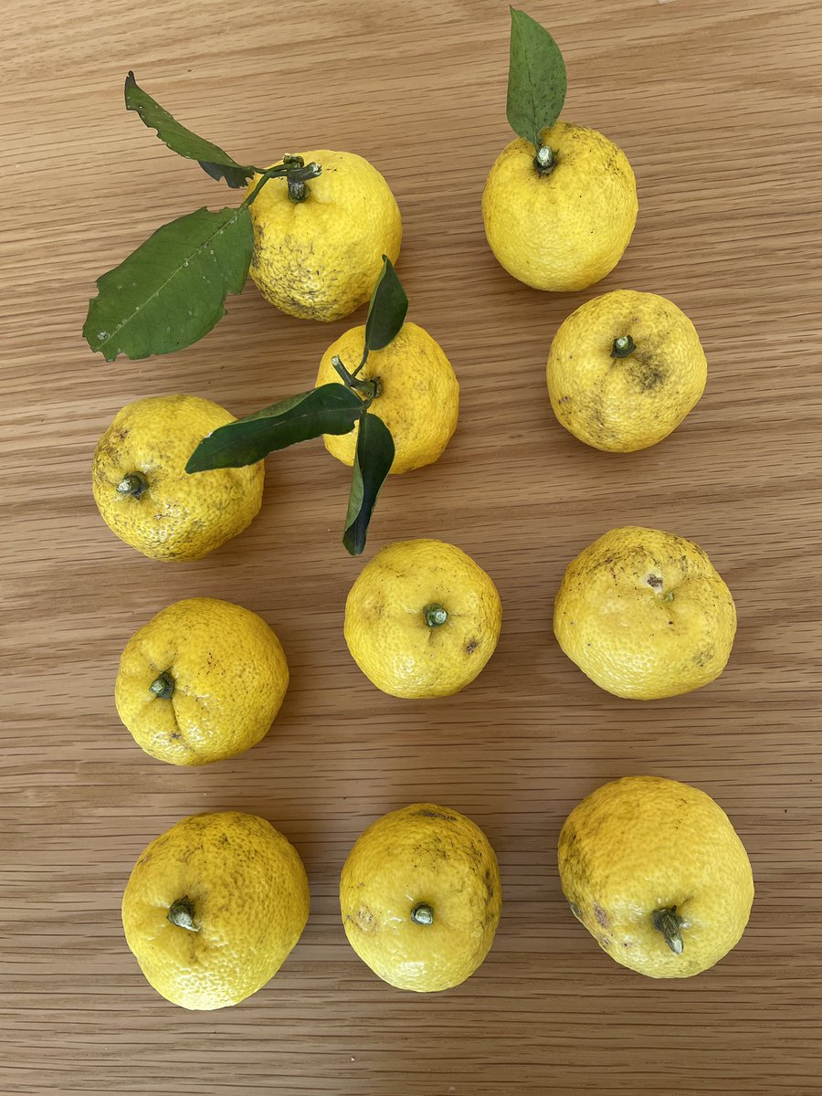 Sanako Mitsugi tweet media