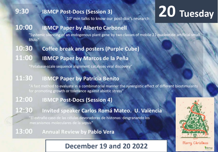 IBMCP's tweet photo. 🌱#JornadasIBMCP
Mañana nos vemos de nuevo a las 9:30h con las sesiones #IBMCPPostDocs, y los #IBMCPPaper de la mano de @A_Carbonell_ , @Marcos_dlP, Patricia Benito y la ponencia de clausura con nuestro invitado @DrLitos de @UV_EG
Cerrará la jornada nuestro director Pablo Vera https://t.co/FEaPXc81dX