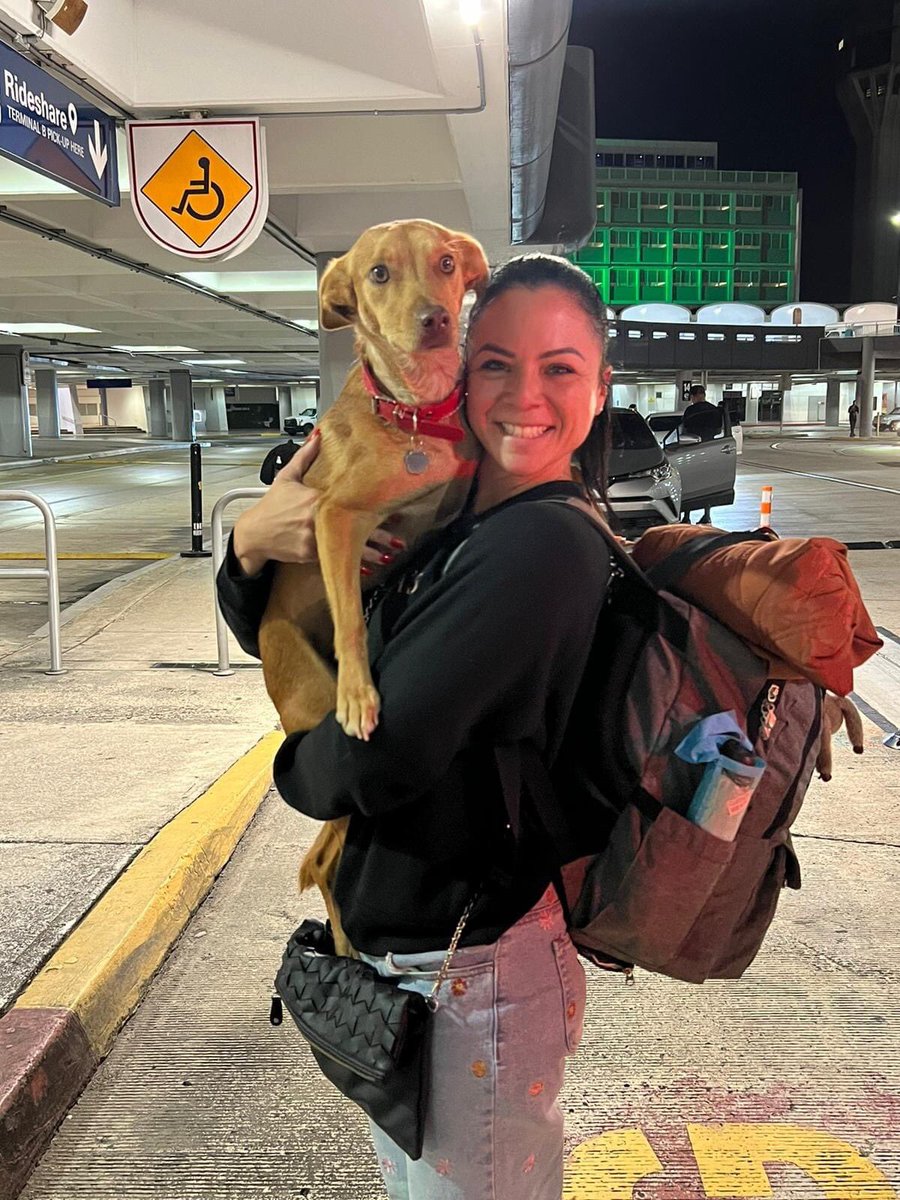 Marie Aun nada...sigan compartiendo ayúdenme a encontrar a mi nena😪

Tiene collar rojo de NAVIDAD 

SE LLAMA NALA

SANTA ROSA, BAYAMÓN 787-674-0635 

Se escapó asustada por la pirotecnia 💥 💔