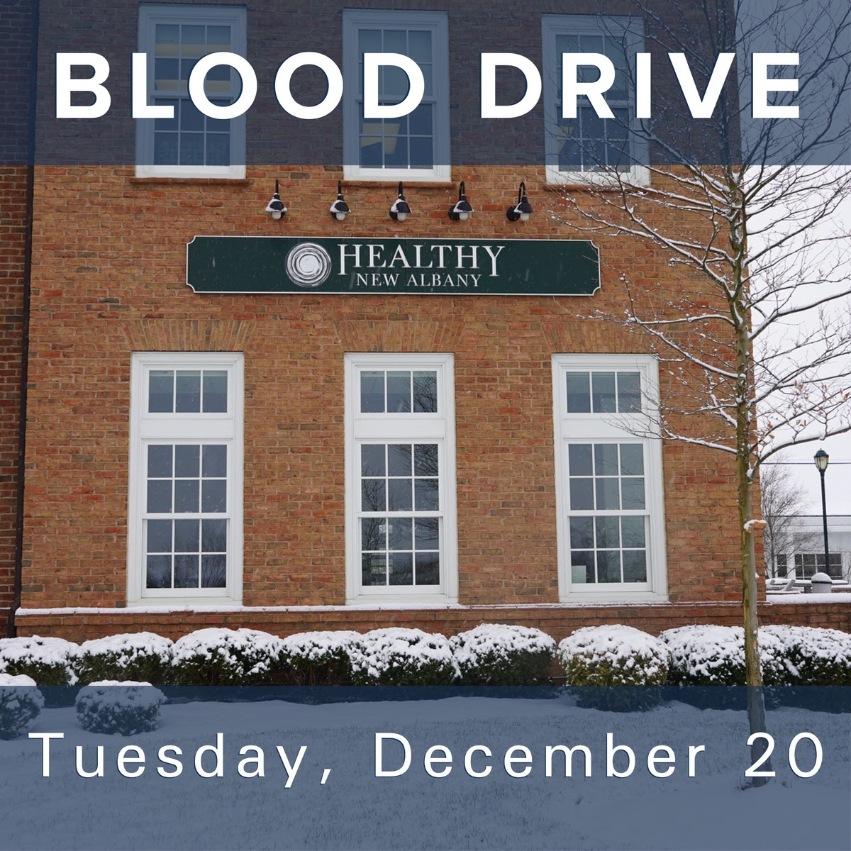 NewAlbanyOhio tweet media