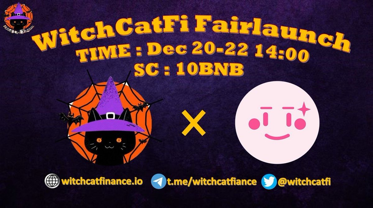 Witch Cat Finance tweet media