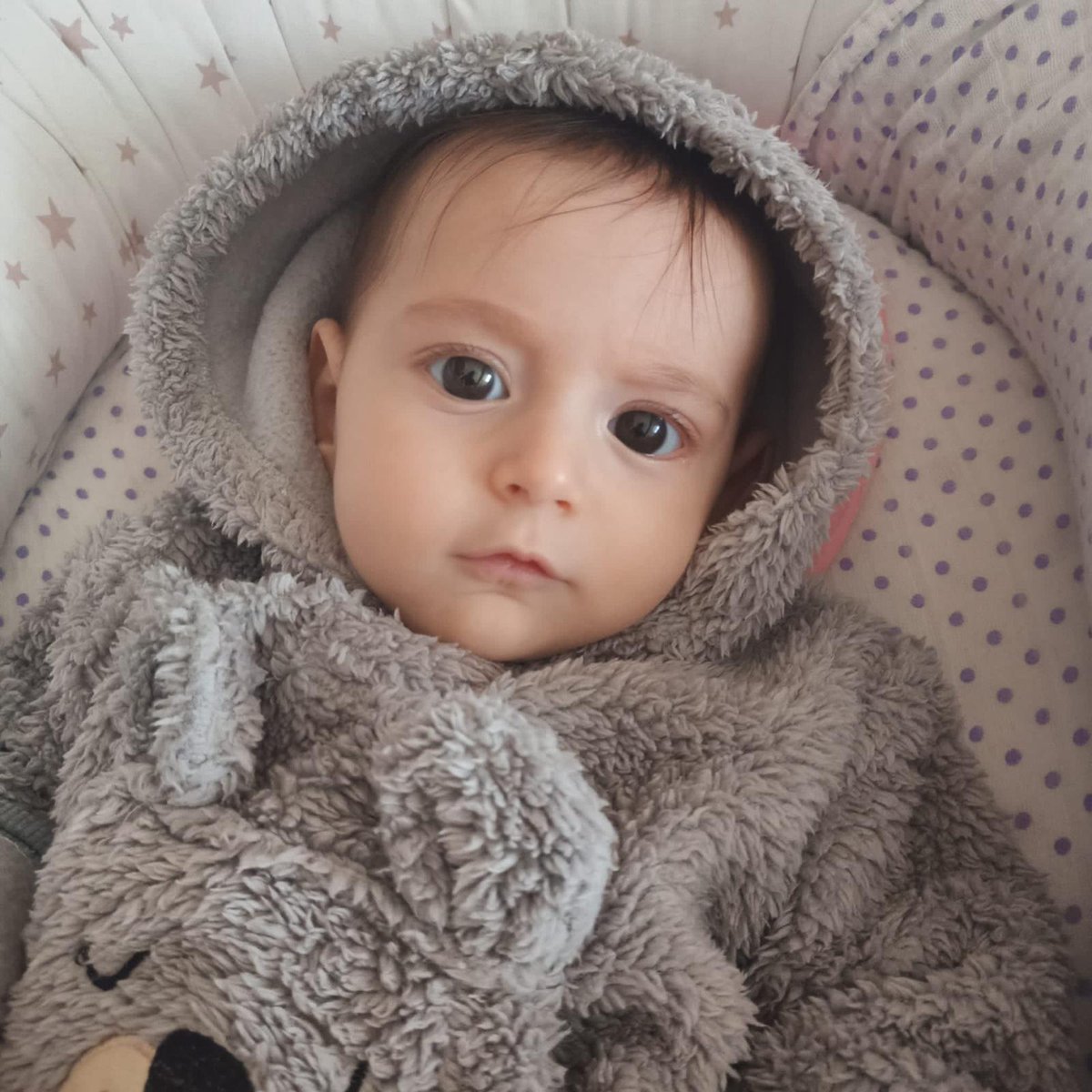 Cuma gününe kadar %25 olma hedefimize katılmak ister misiniz? Hedefimiz belli hızlanmamız gerekiyor. Biz mucizelere inanıyoruz siz de ellerimizden tutun.
Kopyalanabilir İban⬇️
taplink.cc/masalaumutol

#ŞartımızNet99Öncesi #FIFAWorldCup 
ElonMusk İstifaEdiyor Arjantin #pazartesi