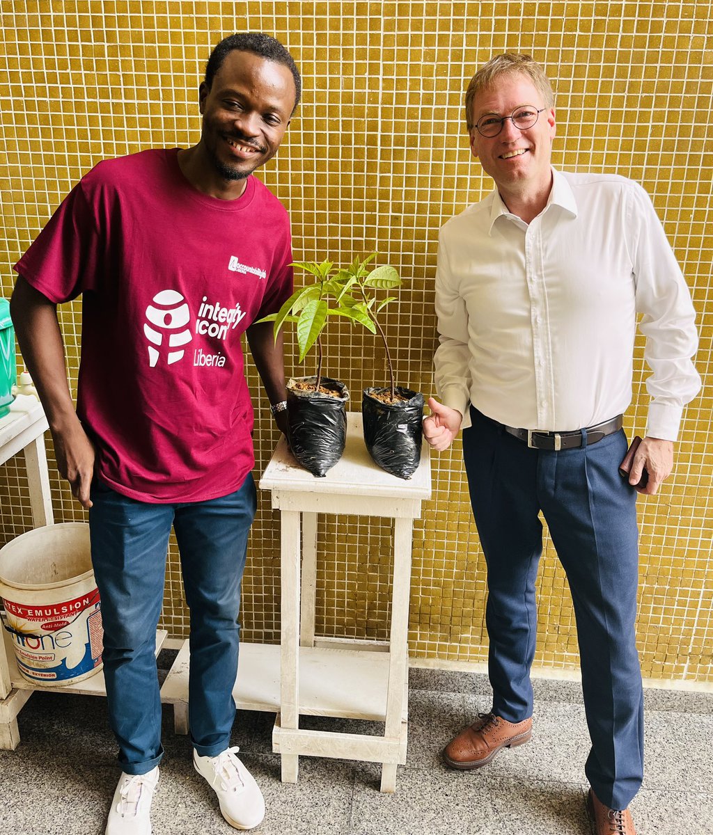 JohanRomare's tweet photo. Securing our future - a Liberian avocado farm in the making 😊 https://t.co/B41InNCyPW