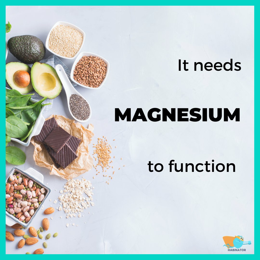 HabinatorApp's tweet photo. 👉  Magnesium  helps to absorb vitamin D. Humans need magnesium to maintain normal heart rhythm, bone health and nerve functioning. It is found in dark leafy greens and nuts. 

Follow us for more health tips!💚 https://t.co/ZfVbCIrUtt