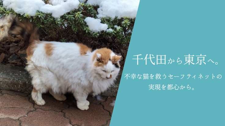 CrafunChannel's tweet photo. 👑今話題のランキング👑

✨1位✨
石川梵監督最新作　東日本大震災で活躍した余命３ヶ月のセラ...

✨2位✨
罪もない猫たちを「みんなのシェルター」で救いたい！

✨3位✨
【シリーズ累計3万個超え】撮影時のガラスへの映り込みを解...

https://t.co/hIMVlsWJul

#クラファン https://t.co/IFv59W9psT