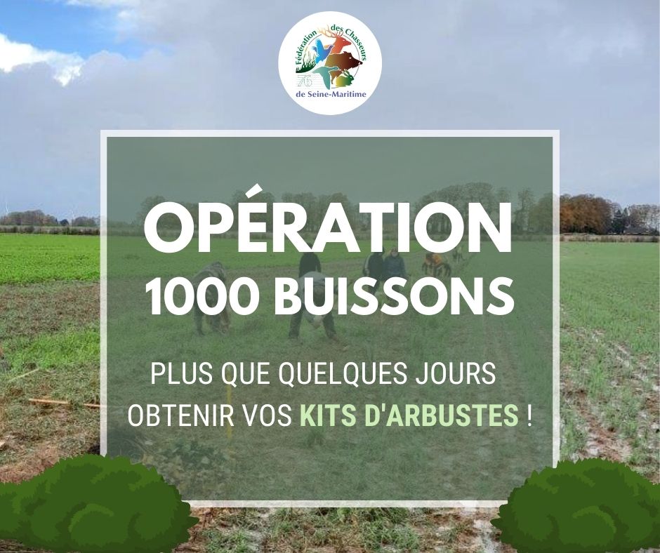 FedeChasseurs76's tweet photo. ⚠️ Relance opération 1000 buissons ⚠️

Pour ceux qui n'auraient pas encore commandé leurs kits d'arbustes, il ne vous reste que quelques jours pour le faire ! 🌳

➡️ Retrouvez toutes les informations ici  : https://t.co/1HXb21Xabt

#fdc76 #operation #1000buissons https://t.co/xkaVp7dXdz