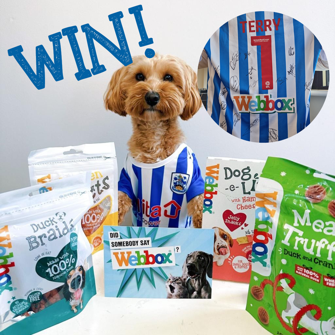 Webbox Pet Food tweet media