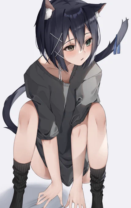 ねこっぽいうちの子です 