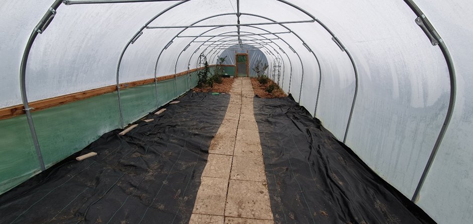 We grabbed some old pavers for a path from ebay.  Then planted in some soft fruits in 1/3 of the tunnel- peaches, nectarines, grapes etc. The rest of the polytunnel had soil added, with horse manure to mix over winter under the plastic wrapping to stop weeds.