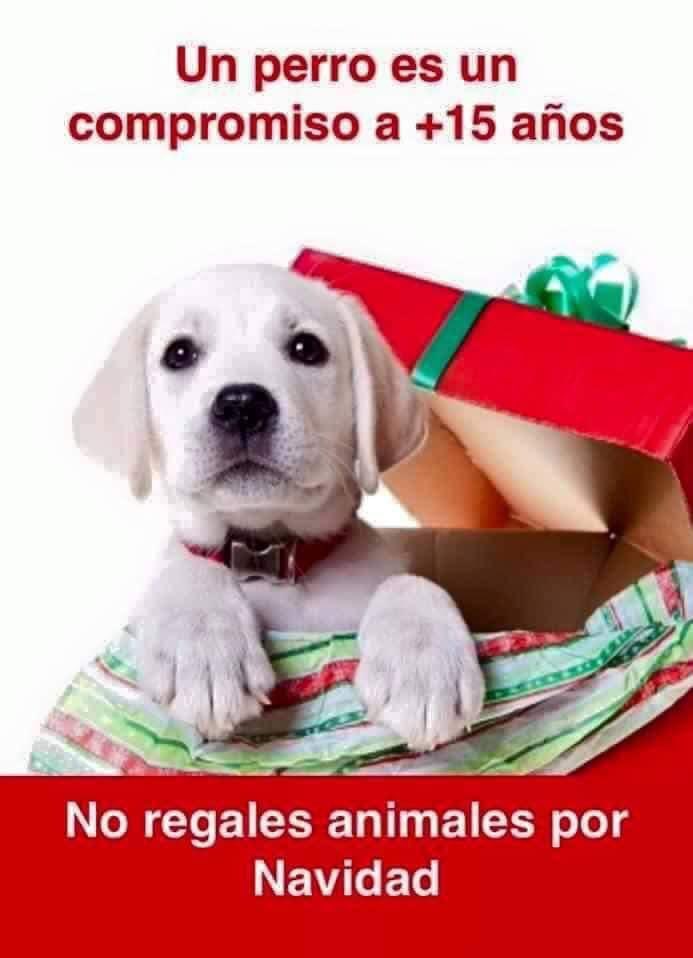 Mnica01163438's tweet photo. #SeanResponsables
#NoEgoistas
#PadresHelipcoteros https://t.co/Qt6vuGVxJA