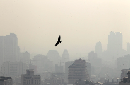 AccessaOrg's tweet photo. As with #cop27 the #cop15 statement sets lofty goals but says little about HOW to achieve them. Pollution like Methane, Mercury, Nox damages the environment yet can be mitigated by >100% with treatment. Find out here https://t.co/Q70OEP6LRb #biodiversity https://t.co/pLolMtfe7x