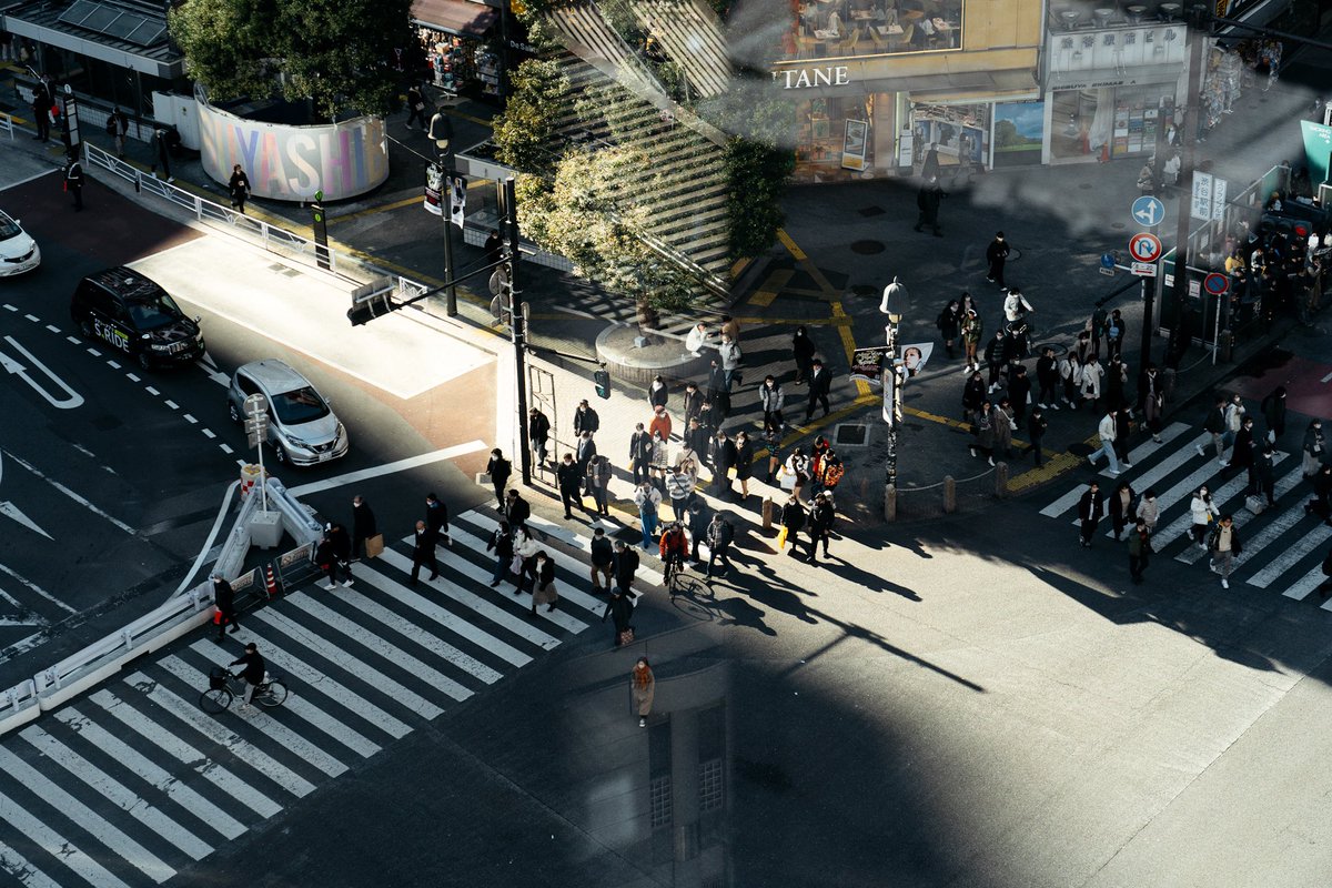 shiifoncake's tweet photo. Shibuya Scramble Crossing. https://t.co/svpZuGiD8P