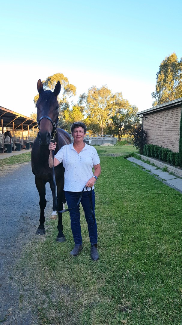 My Boy Mo! 
My 100th career win. 
Trained his mother to win 3 races. 
He is the third foal to race, HPR have won races with all 3. 
❤️