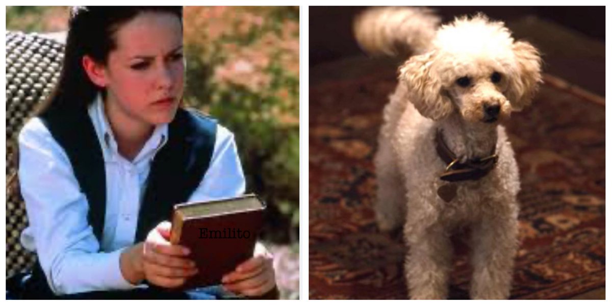emilitomc's tweet photo. Teniendo en cuenta que Gretchen la perrita nació en los años 50 y que la novia de Donnie Darko eligió ella su nombre al cambiar de identidad.
Quién creéis que homenajea a quien? @laORBITAdeENDOR #Dark #DonnieDarko 😜@antonio_runa https://t.co/v9AgynSLP7