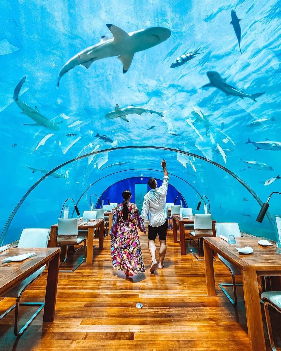 Name a better place to Chillax 😎
📍 Maldives 🇲🇻
📸 terplanet

#maldives #maldivesIsland #maldivesresort #luxurytravel #underwaterhotels #paradise #nightout #MondayMotivation
#MONEY #BaluTravelDeals #adventure #christmasgift #explorewiththebest