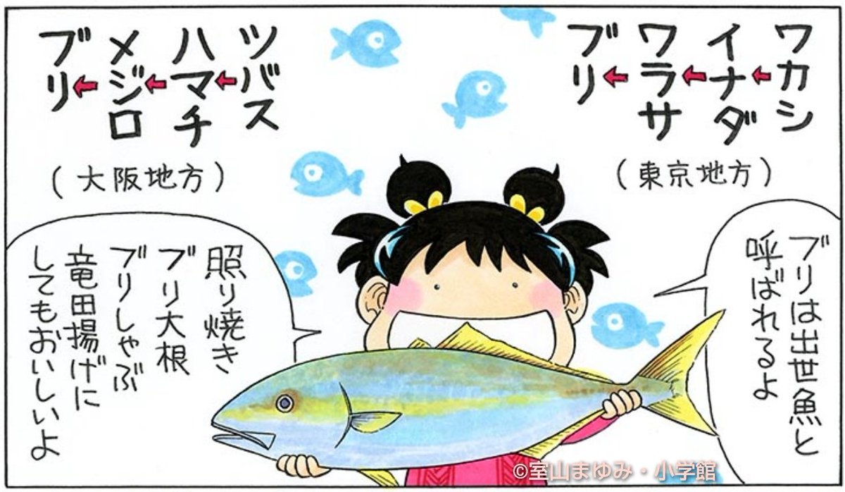 「魚へんに師と書いてブリ。 年末を代表する魚です。 きょうはブリの日。 」あさりちゃん (浜野あさり)の漫画 「魚へんに師と書いてブリ。 年末を代表する魚です。 きょうはブリの日。 」あさりちゃん (浜野あさり)の漫画