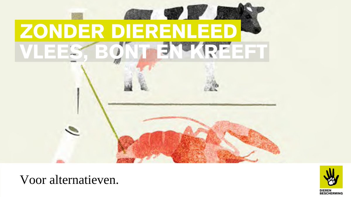 Vlees, bont en kreeft zonder dierenleed bit.ly/3hBWAp2

Natuurlijk, voor de hond en de kat zorg je goed. Maar, eten we straks dan ook écht minder vlees? En is de opkomst van cellulaire landbouw, zoals de productie van kweekvlees, écht zo veelbelovend?