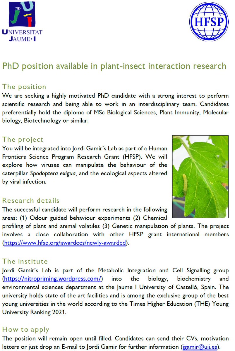 📢#PhD position available in my lab working on a project funded by @HFSP We are seeking a highly motivated candidate to perform guided behaviour experiments and chemical profiling analysis🍃🐛 The position is now available until filled!! For more information 👇👇 Please RT!!