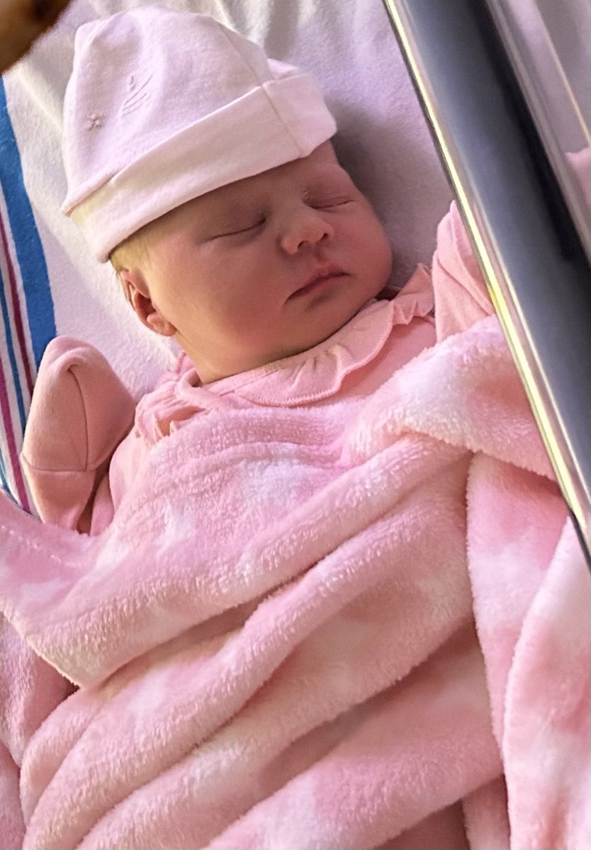 Ian Pollitt tweet media